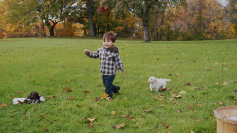 Carefree-Asian-toddler-runs-with-puppies-on-green-grass