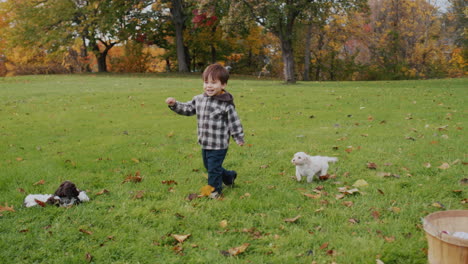 Un-Niño-Asiático-Despreocupado-Corre-Con-Cachorros-Sobre-La-Hierba-Verde