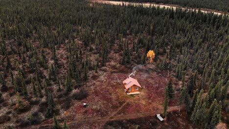 aerial view of isolated house with smoking chimney in alaskan coniferous forest