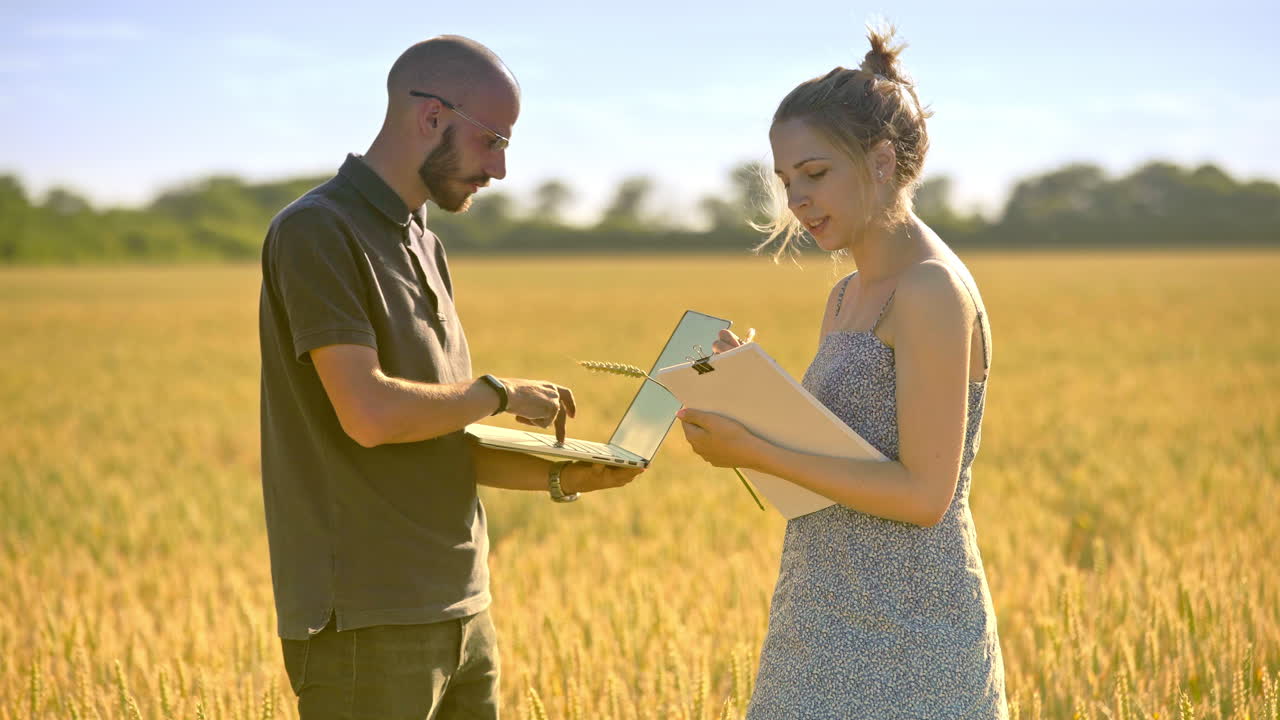 Young agriculture engineers checking quality of wheat harvest. Agro business