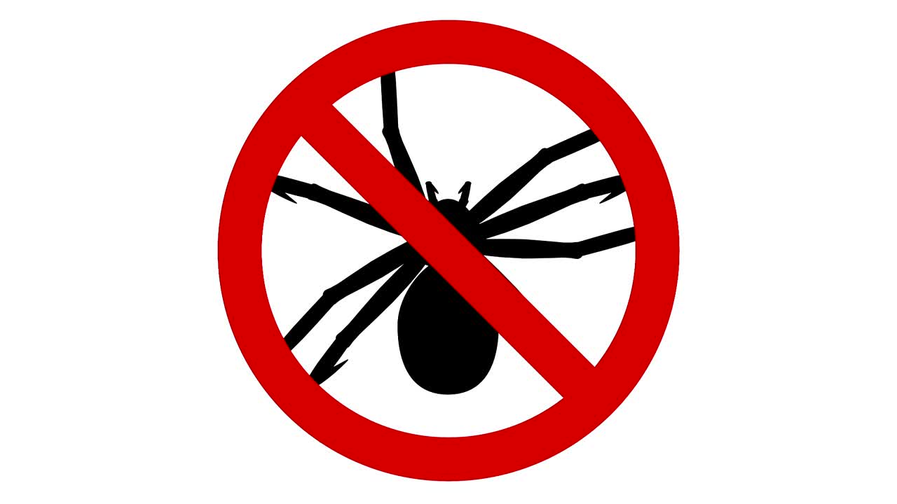la plaga de araña en el signo prohibido, animación cg