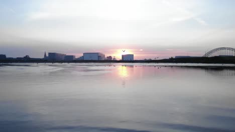 birds scared of a sound and fly all away during a lifted slowmo drone shot in the netherlands with a sunrise at the horizon