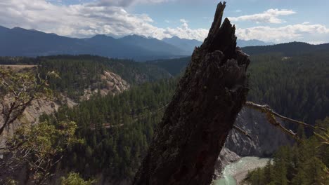 stump hoodoos mountain range invermere british columbia pan