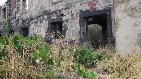 ruined building in a lush landscape