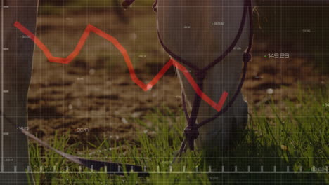 horse hooves standing on grassy mud with rope tie, overlaying digital grid, showing red line graph