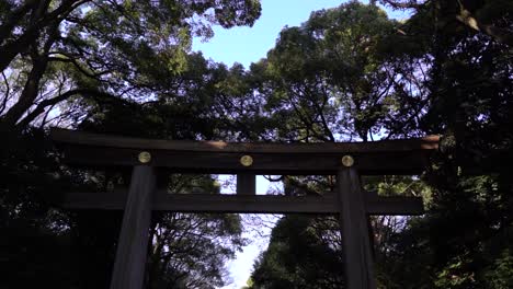 Slow-Motion-walk-looking-up-at-Torii-Gate-at-Meiji-Shrine-entrance