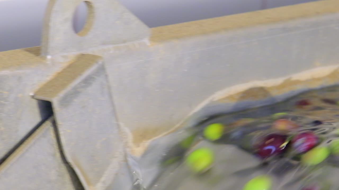 imágenes de aceitunas verdes lavadas en agua en una fábrica de aceite de oliva