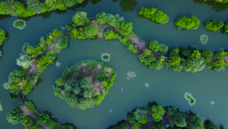 Rural-Landscape-With-Fishing-Pond-And-Trees-In-Norfolk,-UK---aerial-top-down