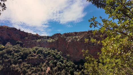 Static-nature-valley-in-North-Africa-Morocco,-argan-tree-forest