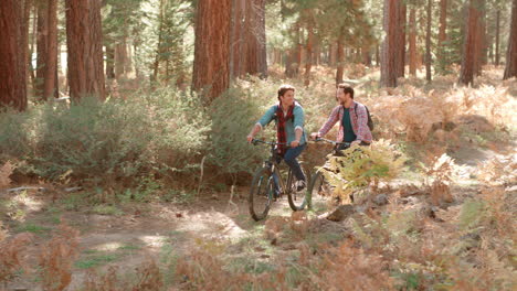 male couple talk as they cycle through a forest, front view