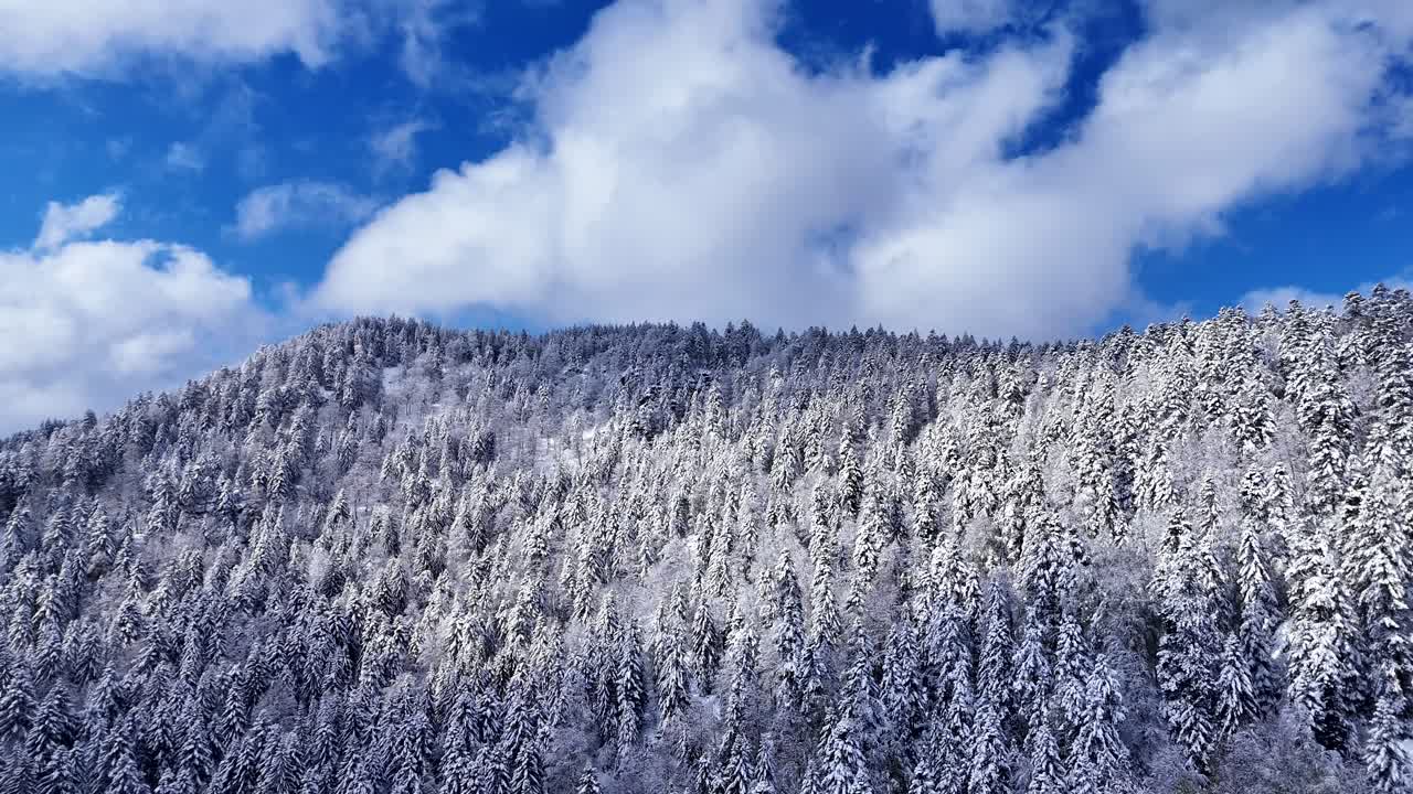 푸른 하늘과 큰 구름과 함께 봄 동안 눈 인 산 나무 위의 드론 상승 전망