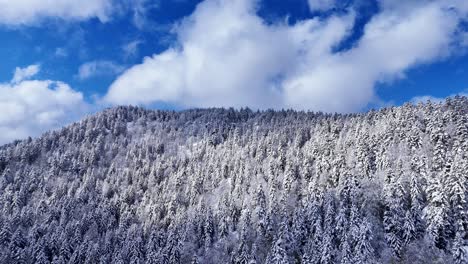 drone ascending view above snow covered mountain trees during springtime with blue sky and big clouds