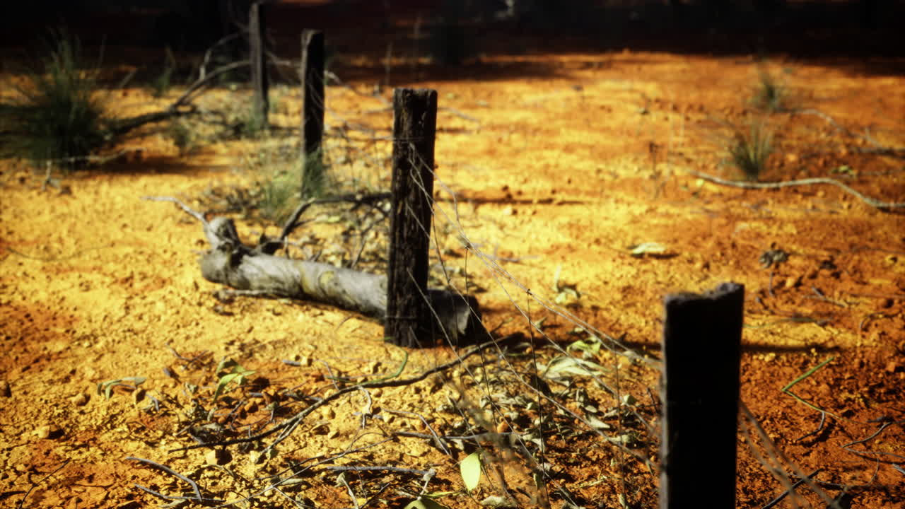 Deserted landscape showcases rustic wooden posts among rich orange earth