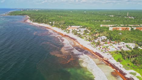 aerial view of xpu-ha beach in riviera maya, mexico, showing invasive sargassum seaweed along the coastline with lush jungle and resort accommodation nearby
