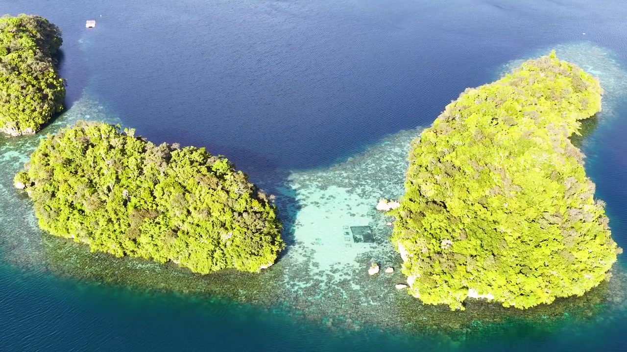 Høyvinkel droneopptak over frodige grønne kalksteinsøyer omgitt av turkise korallrevvann