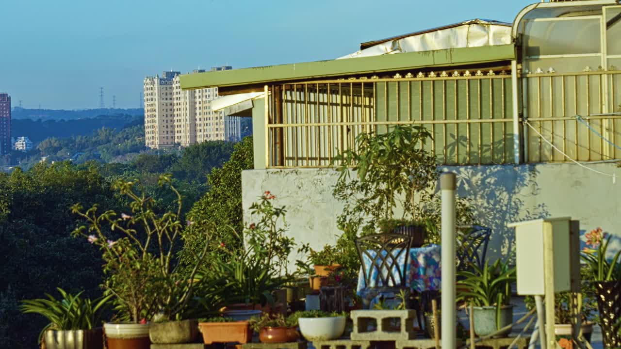 Lush green terrace with potted plants and city views in typical Taiwanese setting