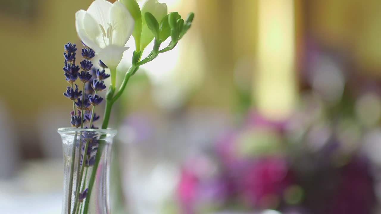 Fiori di fresia bianca e lavanda in fiore in un vaso di vetro