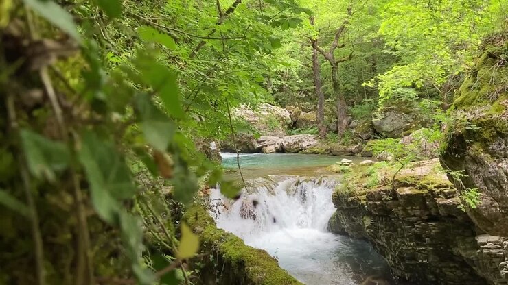 La serena cascata nella foresta lussureggiante
