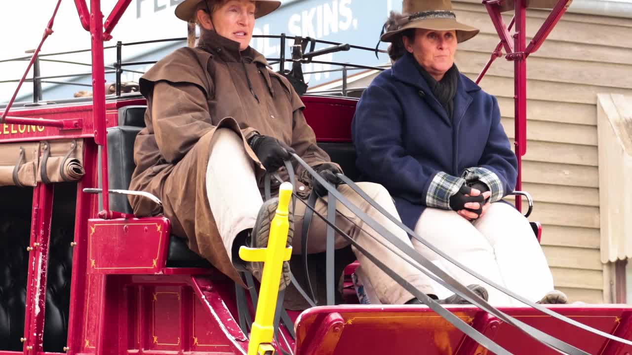Close-up views of a vintage carriage with passengers and horses, showcasing traditional attire and harness details.