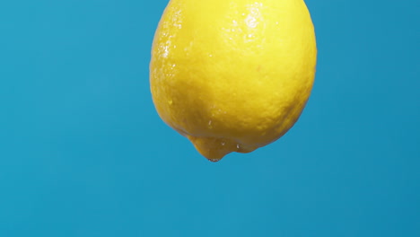 gotas de agua que fluyen de un limón fresco y agrio sobre un fondo azul, fruta para jugo fresco y natural, bebida dietética fría con vitamina c