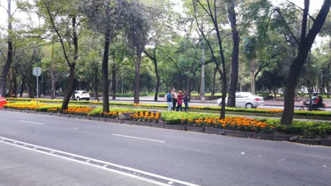 reform avenue decorated with cempasuchil flower