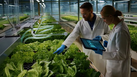 scientists monitoring plant growth in a high-tech indoor farm