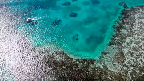 aerial view of belize barrier coral reef with blue hole.