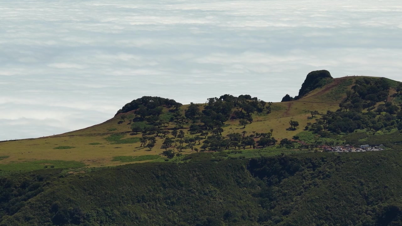 Luftoptagelser afslører bølgende bjerge dækket af frodig laurisilva-skov i Fanal, Madeira. Tåget skybaggrund, uberørt grønt og blødt dagslys fremhæver dette UNESCO verdensarvssted.