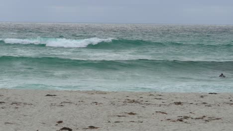 Surfer-in-a-wet-suit-paddling-out-to-sea-on-a-surf-board-with-large-swells-coming-at-him