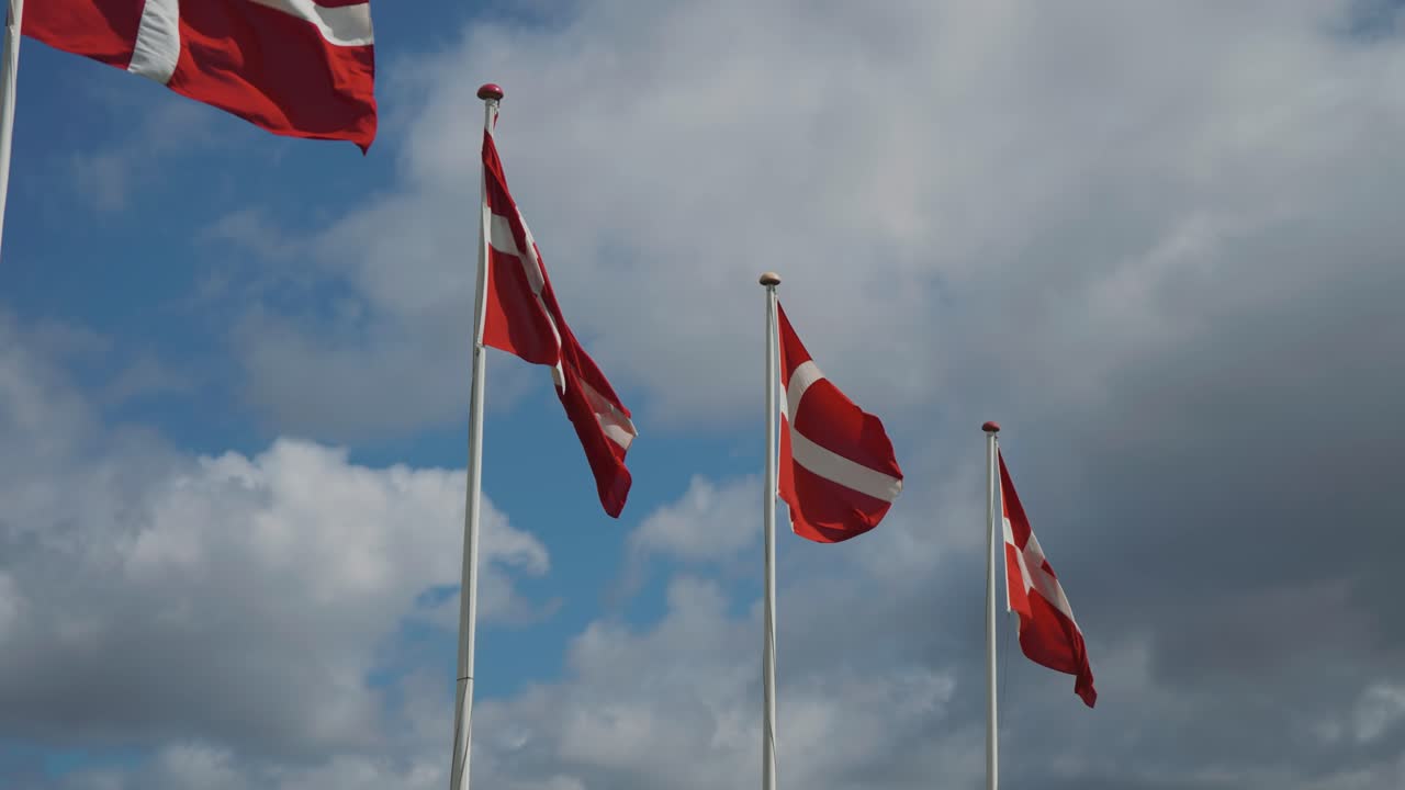 En række danske flag, der vajer i den stærke vind.