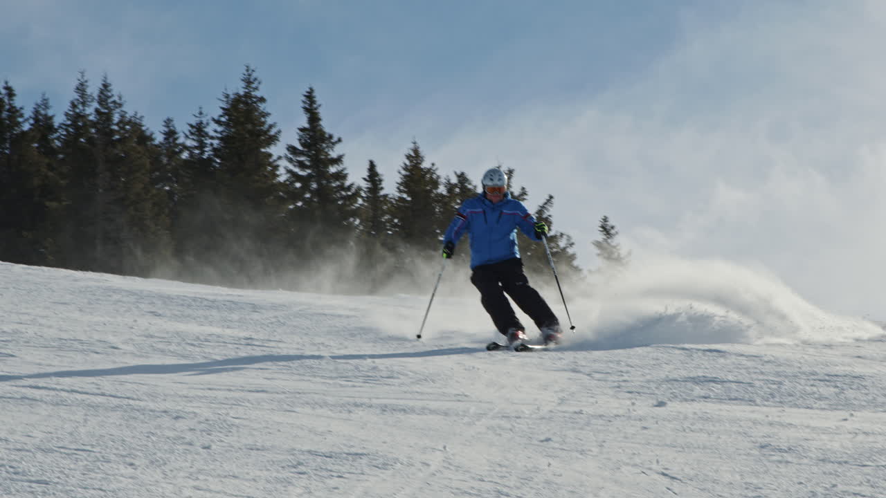 Skier on the slope, spruces in the background.