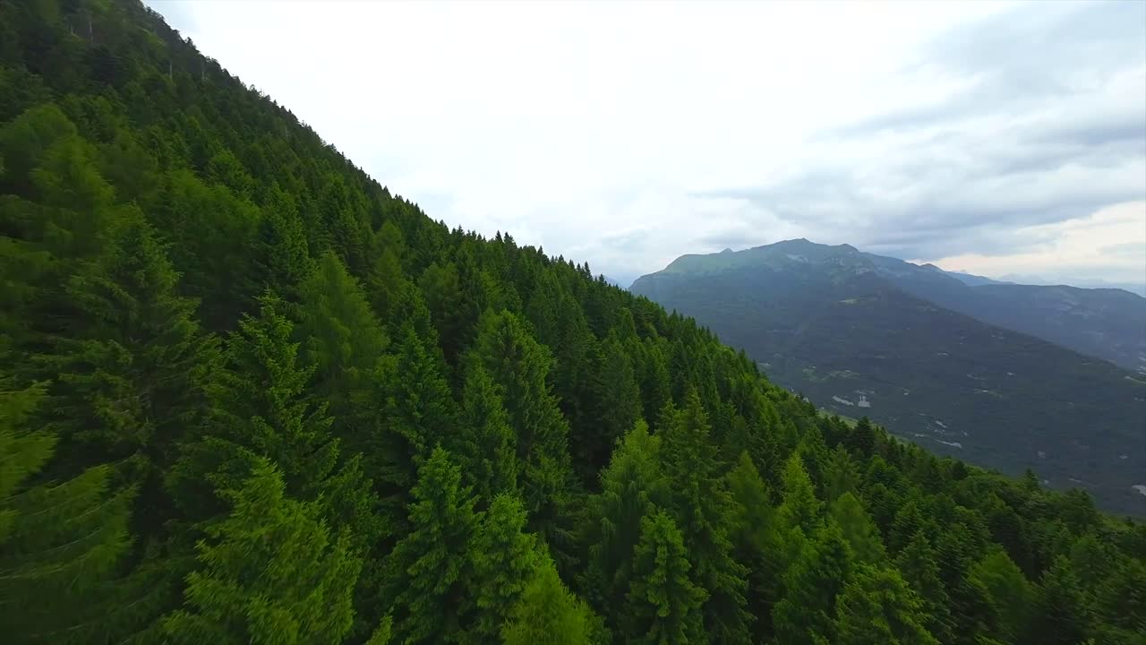 푸른 산 숲 의 공중 풍경