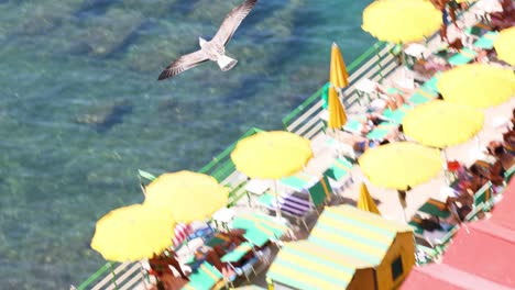 seagulls flying over beach and sunbathers