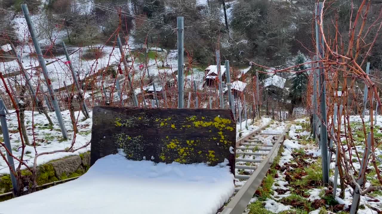 독일 슈투트가르트에서 겨울철 포도 운송을 위한 리프트가 있는 경사면을 따라 가파른 포도원