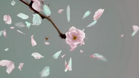 abstract swirling pink petals