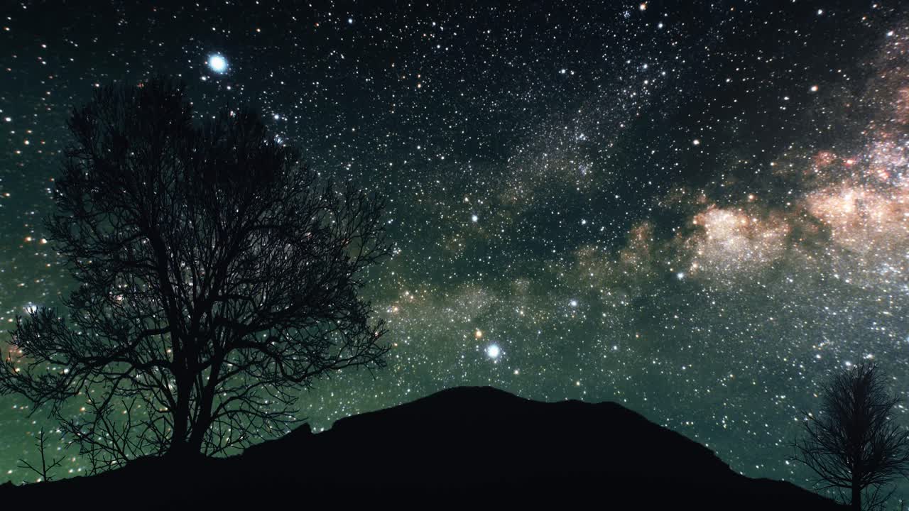 Starry Night Landscape with Tree Silhouette