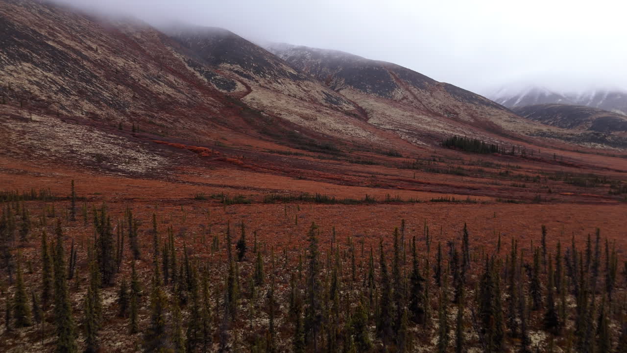 Forest Tundra At Ogilvie Mountains In Canada's Yukon Territory, Tombstone Territorial Park. Aerial Drone Shot