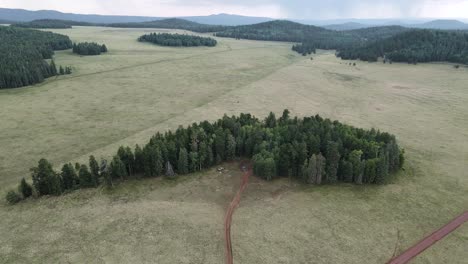 Aerial-view-of-a-camping-area-surrounded-by-pines-and-a-dirt-road-in-Arizona