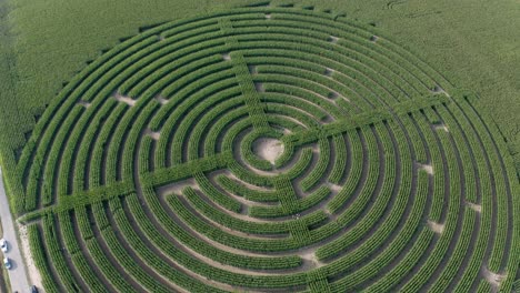 smooth steady pull out a a labyrinth cut into a field of corn