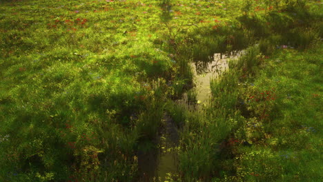 a beautiful view of a stream flowing through a lush green field