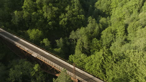 eiffel bridge in mountain forest