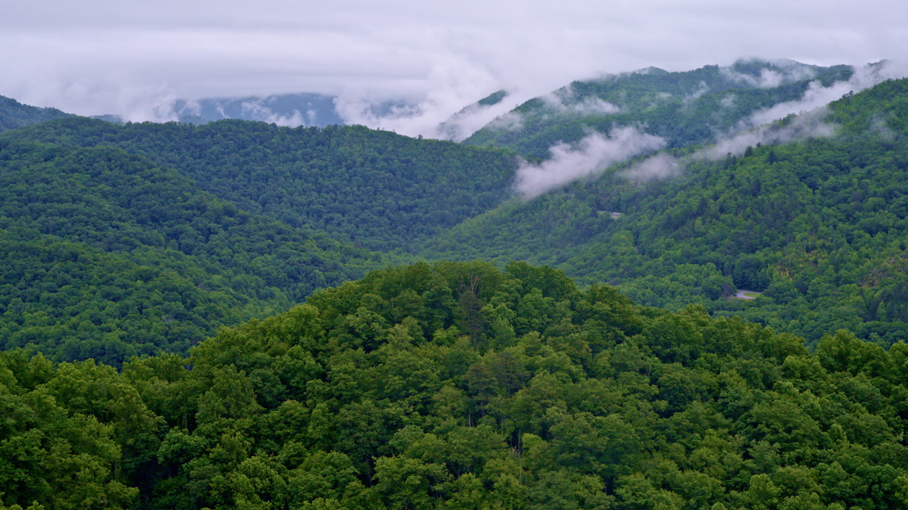 Drone captures sweeping mist over the Smoky Mountains.