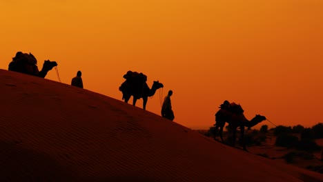 Cameleers,-camel-Drivers-at-sunset.-Thar-desert-on-sunset-Jaisalmer,-Rajasthan,-India.