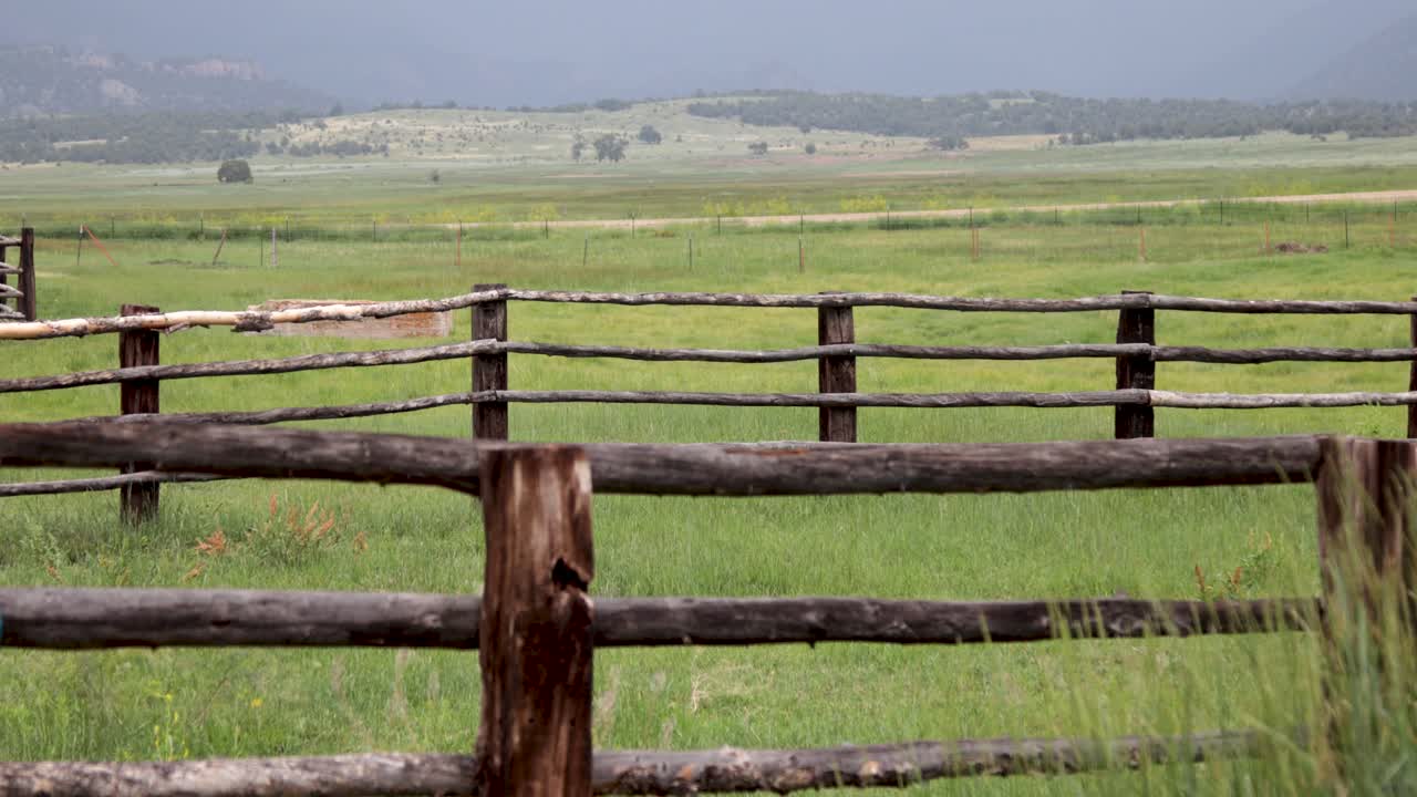 verano colorado pasto valla hierba soplando en el viento