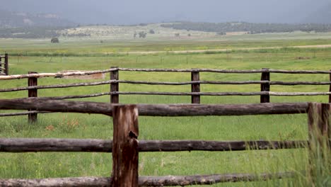 summer colorado pasture fence grass blowing in the wind