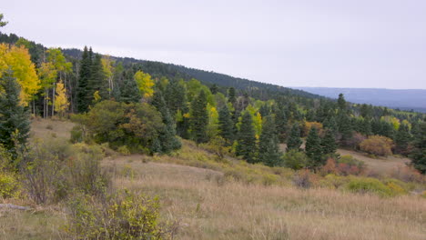 Mittlerer-Schuss-Der-Landseite-Von-New-Mexico