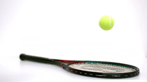 Tennis-ball-bouncing-on-a-racket