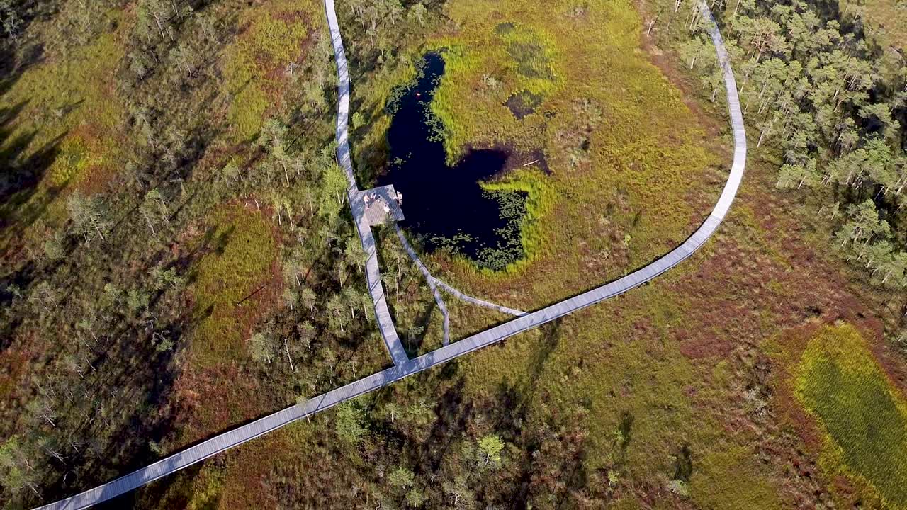 antena de la ruta de senderismo riisa bog y un lago bog en estonia durante el verano