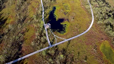 Antenne-Vom-Riisa-Moor-Wanderweg-Und-Einem-Moorsee-In-Estland-Im-Sommer