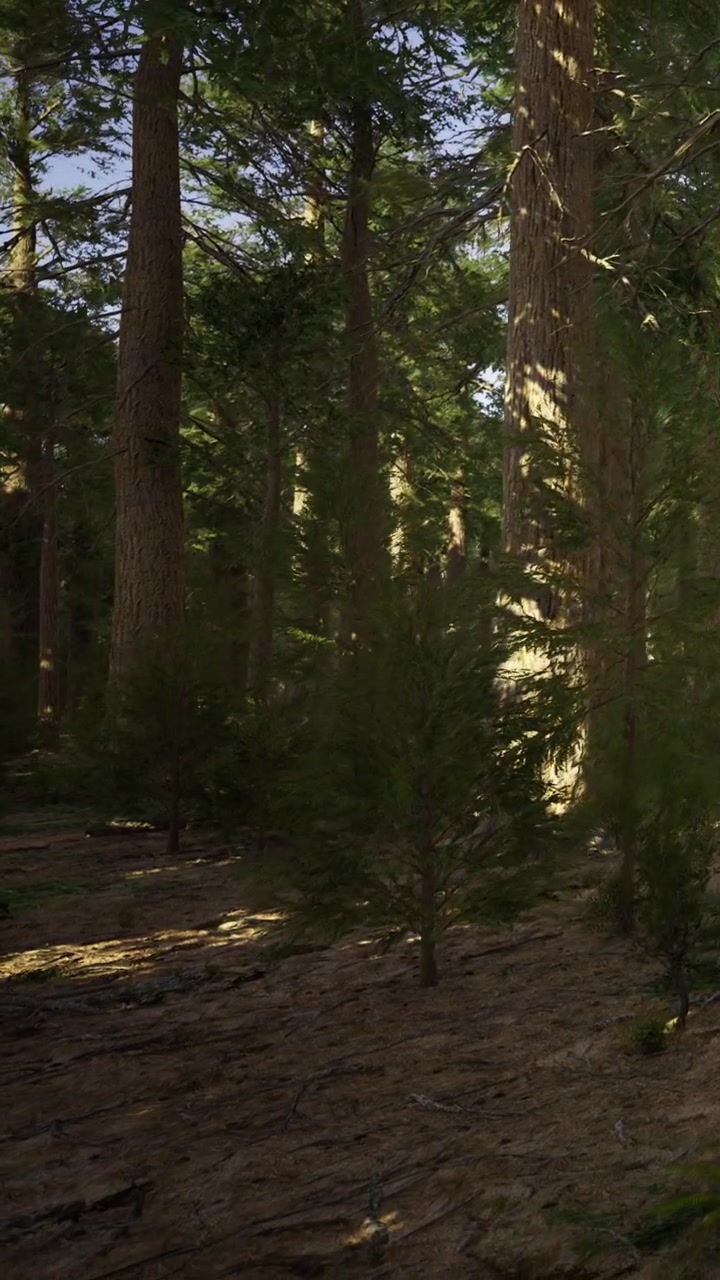 Alti alberi si ergono in una fitta foresta di giorno in un ambiente naturale.